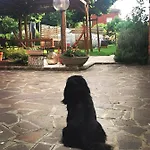 La Casa Del Barbiere Bed & Breakfast