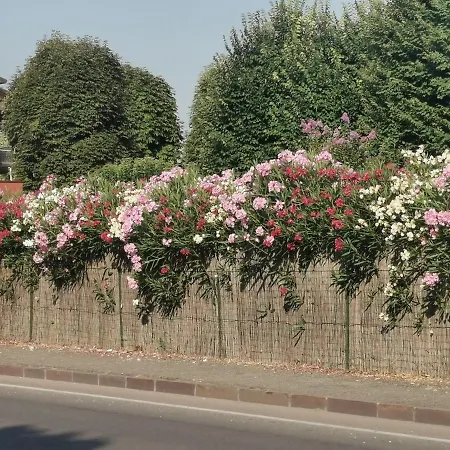 La Casa Del Barbiere Bed and breakfast