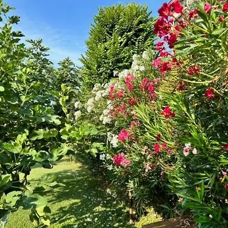 La Casa Del Barbiere Módena