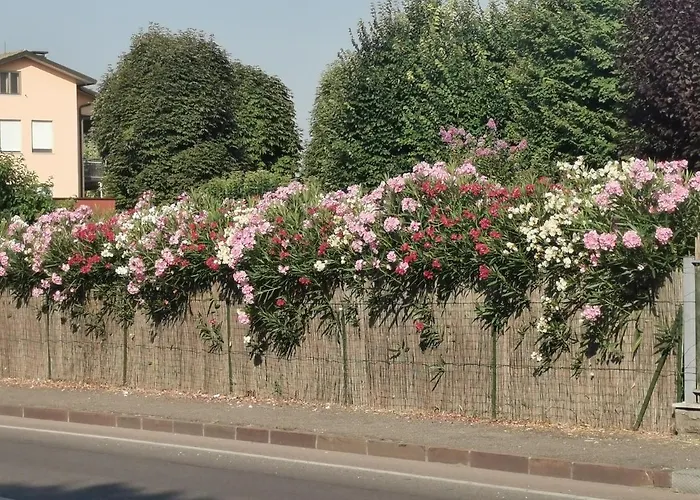 La Casa Del Barbiere Bed and Breakfast