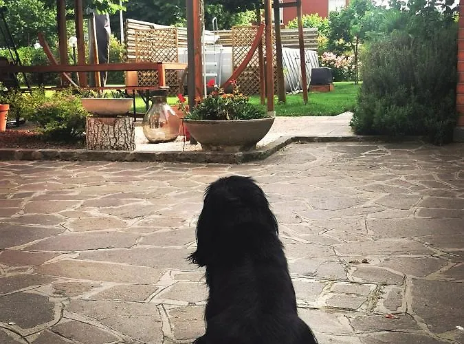 La Casa Del Barbiere Bed and Breakfast