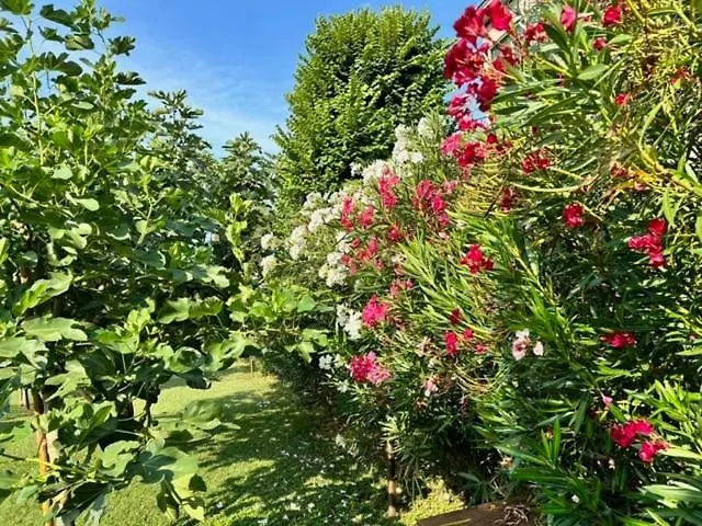 La Casa Del Barbiere Μόντενα